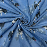 Blue Collie Scarf